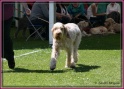 26-05-12 M JustEva_IMG_5117